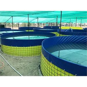 PVC Biofloc Fish Farming Pond - Heavy Duty Waterproof