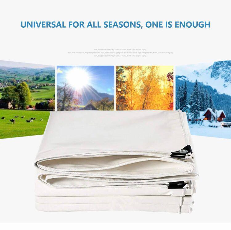 Korean Plastic Sheet (24 ft X 30 ft) - Waterproof & Durable - Image 2