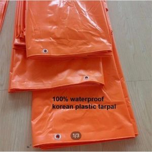 Korean Plastic Sheet (30 ft X 36 ft) - Waterproof & Durable